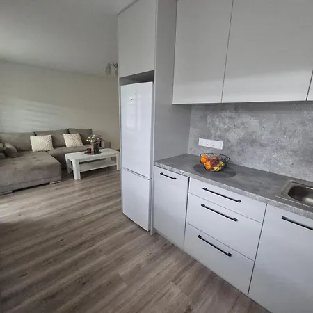 Apartment Kaunas City Apartment
