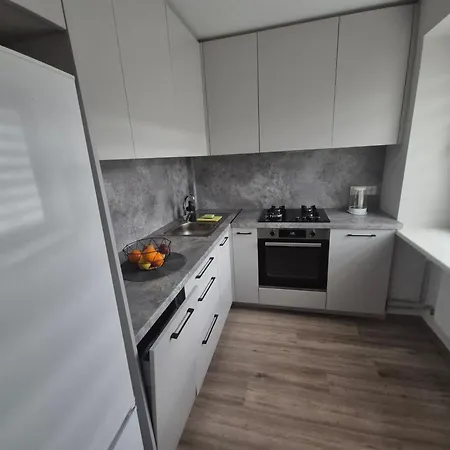 Kaunas City Apartment Kaunas